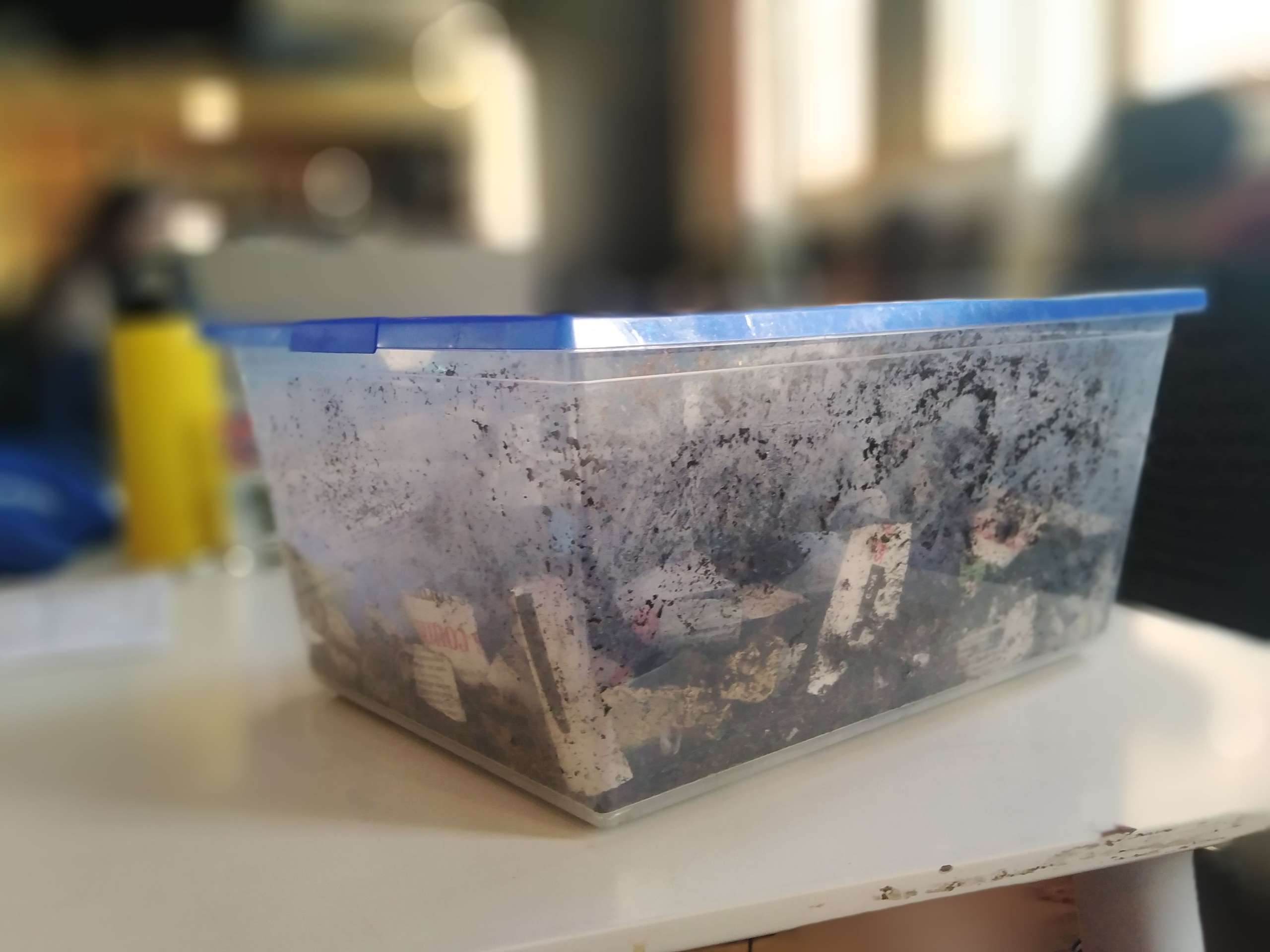 Cómo hacer tu compost