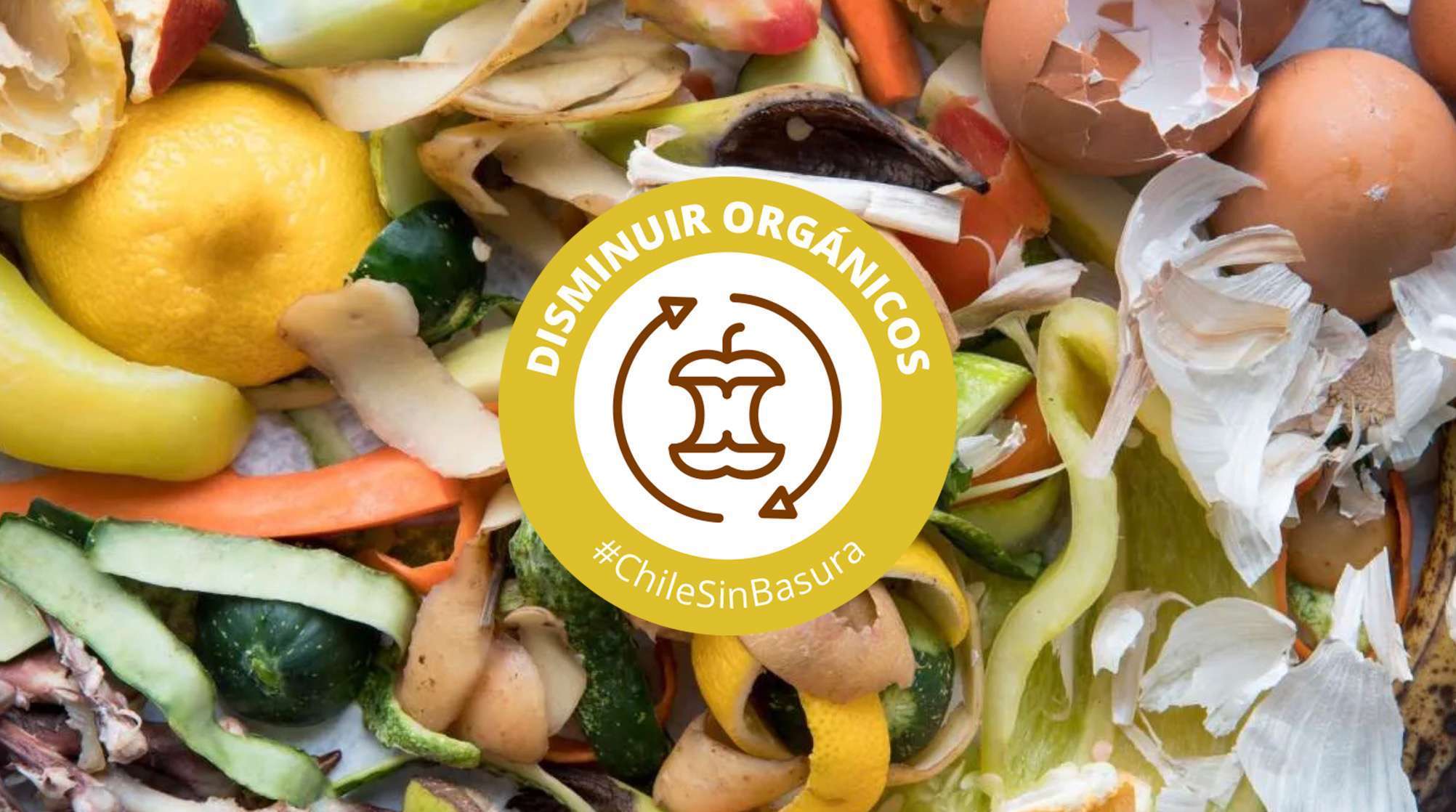 banner-organicos